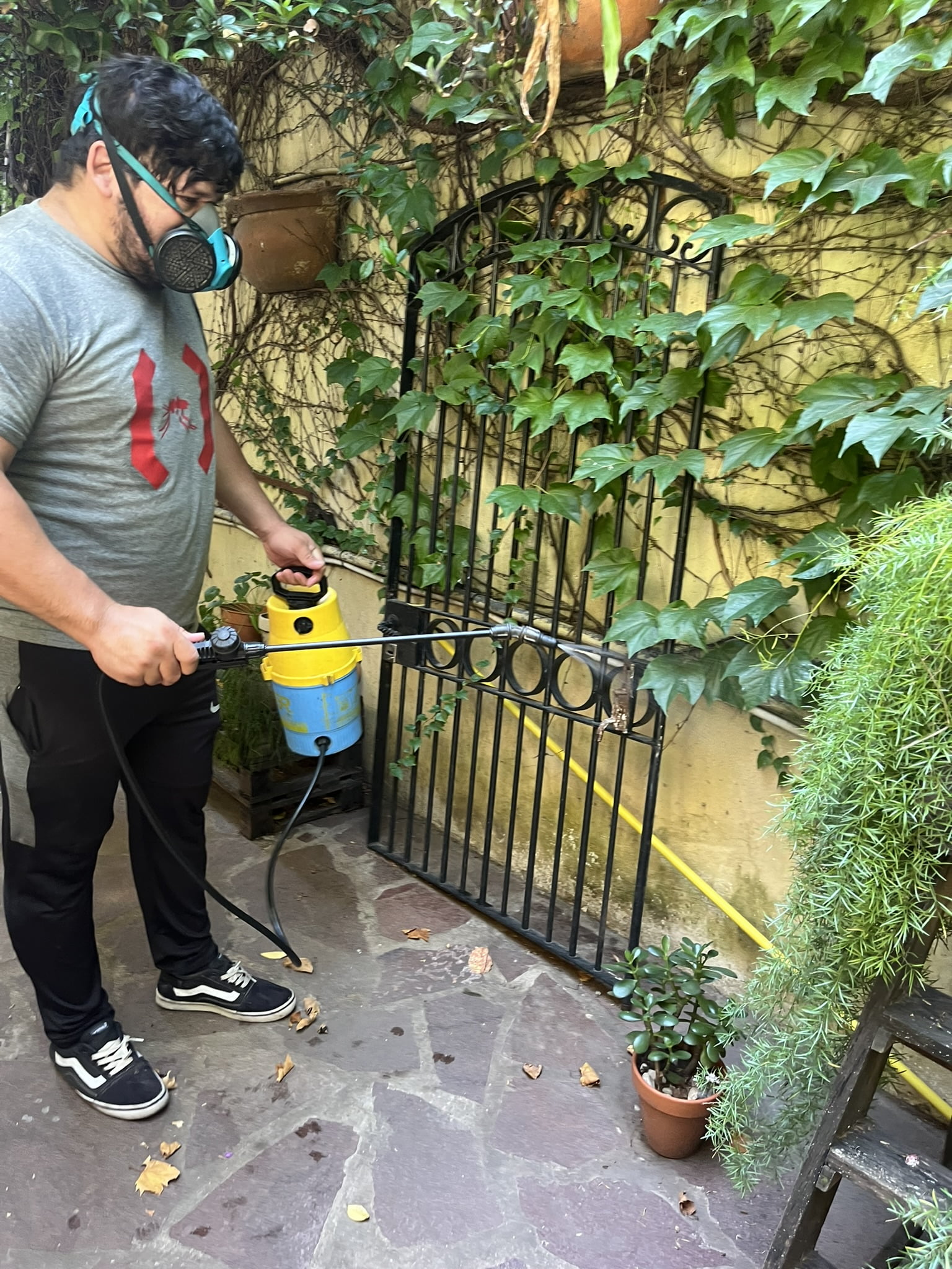 fumigacion jardin
